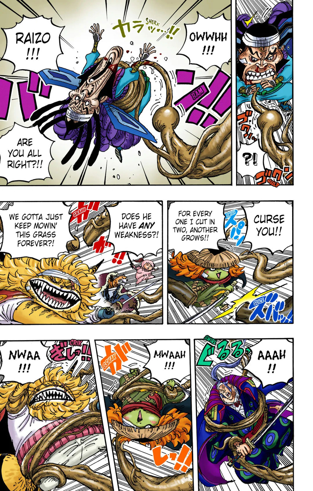 One Piece Digital Colored Chapter 1055 image 04